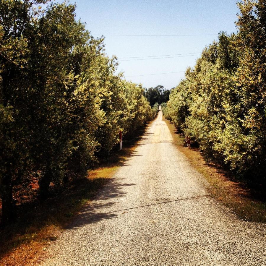קסטלנטה מרינה Masseria Perronello Country House מראה חיצוני תמונה